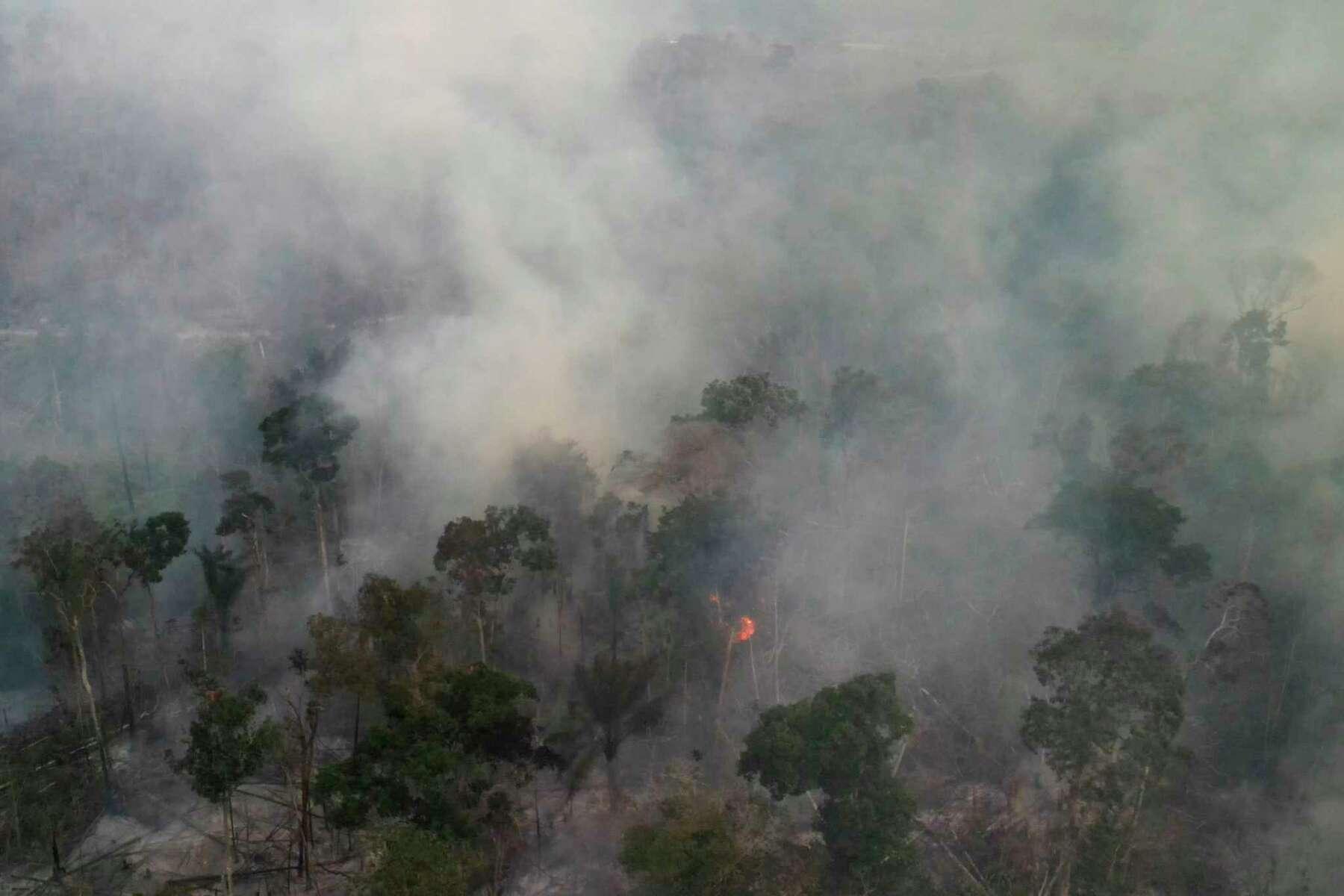 Number of Brazil Amazon fires hits five-year high in August