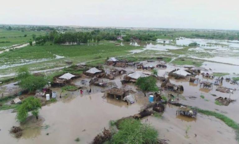 Flood death toll reaches 1,355: NDMA