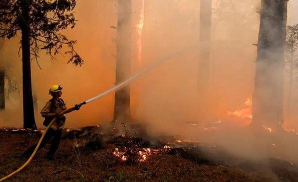 New wildfire spreading in central California Mountains