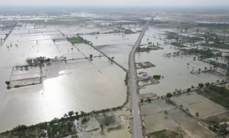 37 more die of floods across country: NDMA