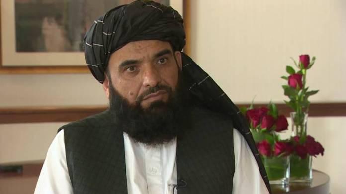 طالبان نے اقوام متحدہ میں سہیل شاہیں کو اپنا سفیر نامزد کردیا