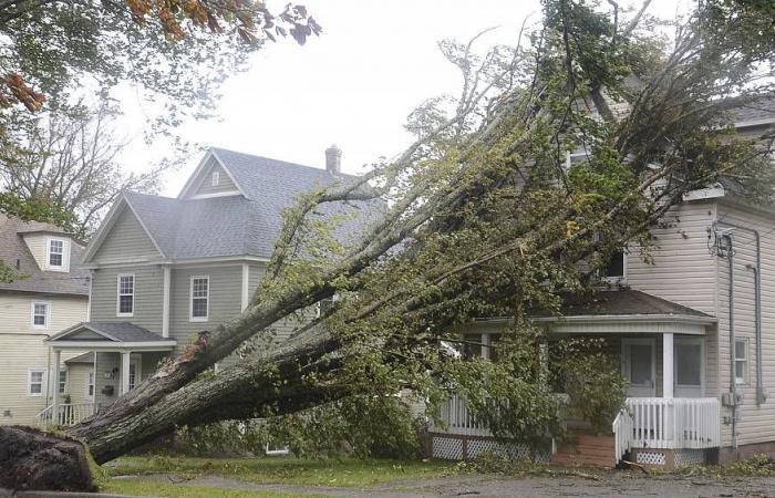 Powerful storm Fiona hits Canada's Nova Scotia, causing 'terrifying' destruction