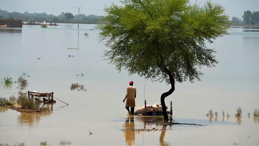 Pakistan, UN to jointly launch flash appeal for flood relief activities in Geneva 