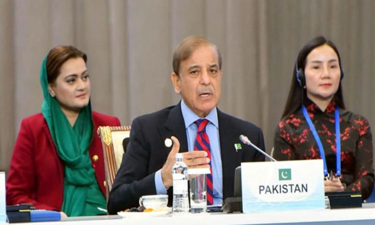 Pakistan needs immediate help to rehabilitate 33 mln climate-hit people: PM