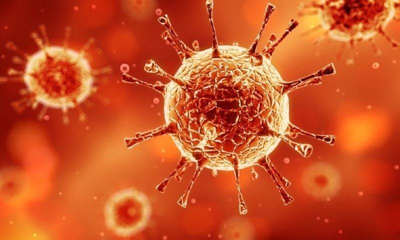 عالمی وبا:ملک میں مزید 50 اموات ،  2 ہزار سے زائد متاثر 