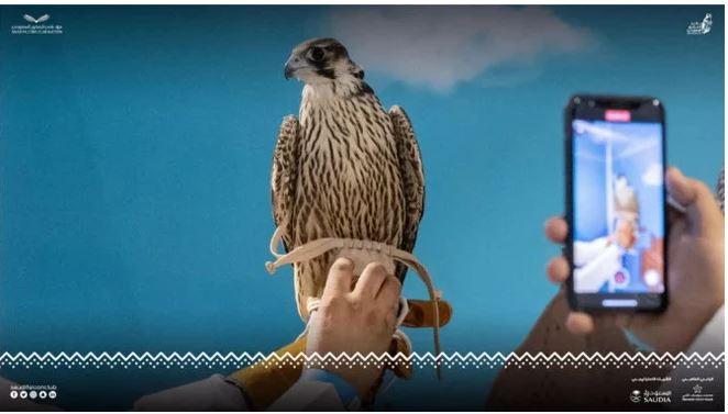 ریاض میں نیلامی جاری، 10 لاکھ ریال سے زائد کے باز فروخت