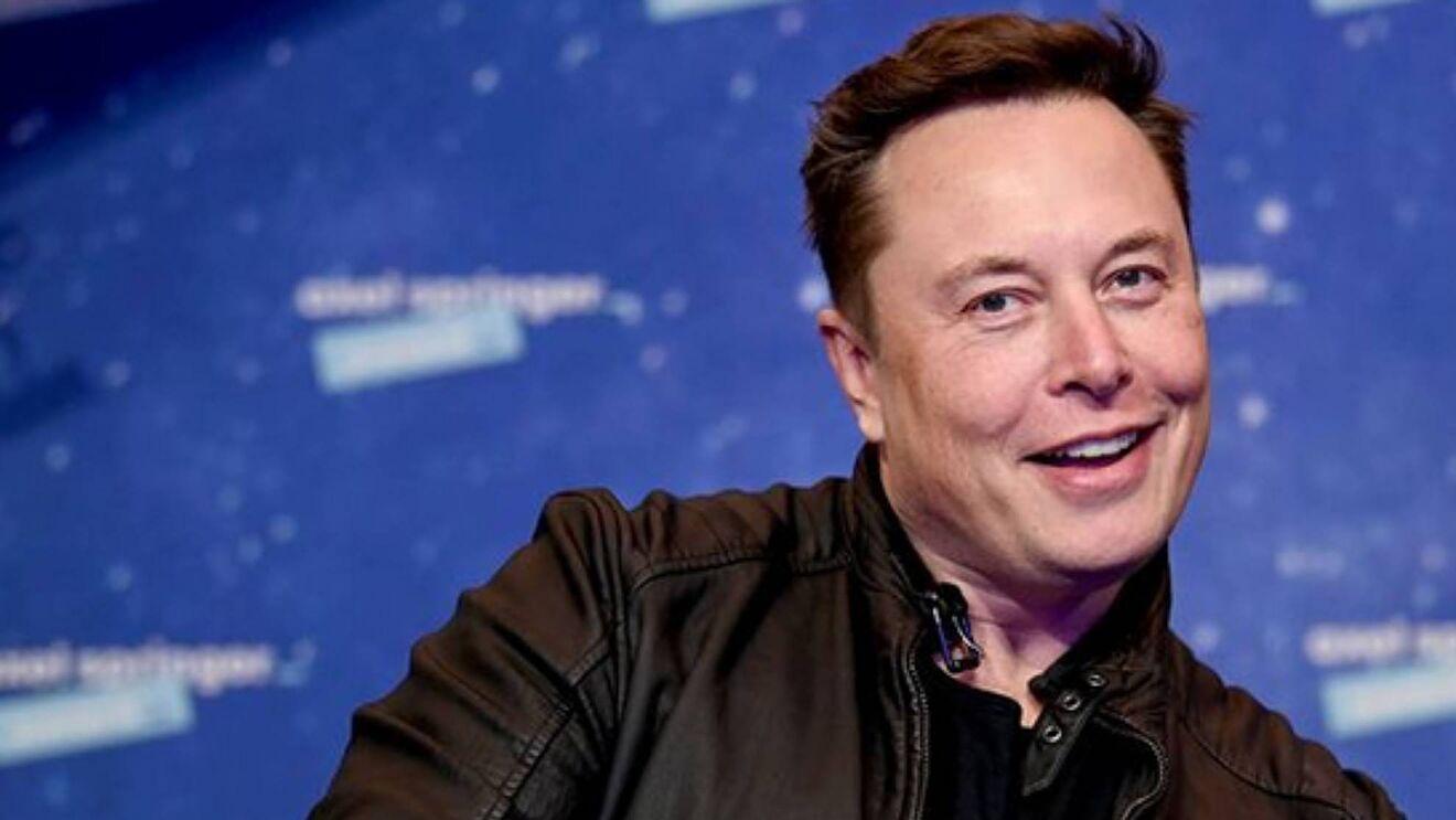 Elon Musk slashes Twitter verification fee to $8