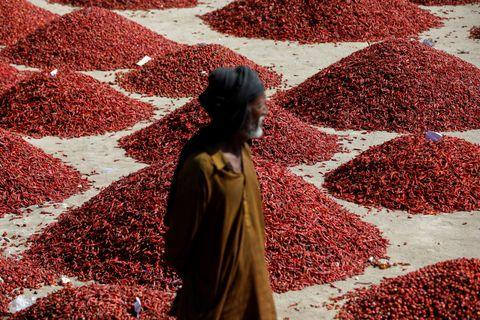 First heat, then floods wipe out farms in Pakistan's chilli capital