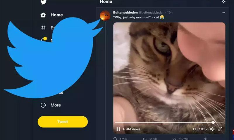 کیا ٹوئٹر پر ویڈیو دیکھنے کے پیسے بھی دینے ہوں گے؟