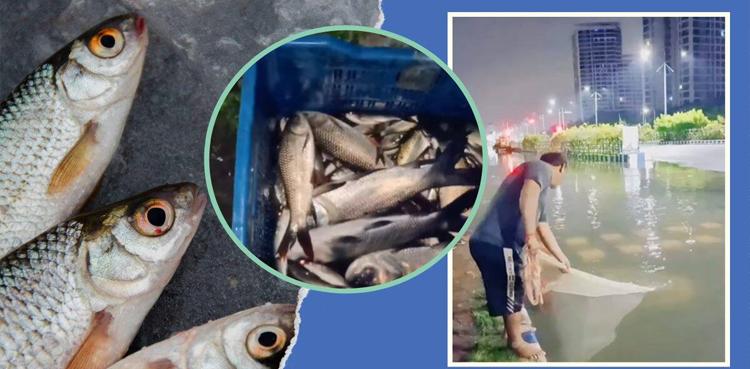 Kolkata’s town turns Venice, residents go fishing on waterlogged streets