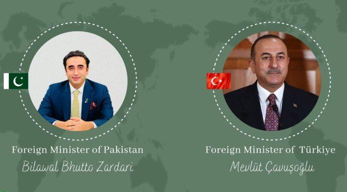 Pakistan, Turkish FMs resolve to work together for regional peace