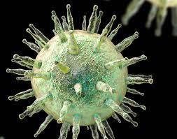 Coronavirus: Pakistan reports 4,856 new infections, 81 deaths