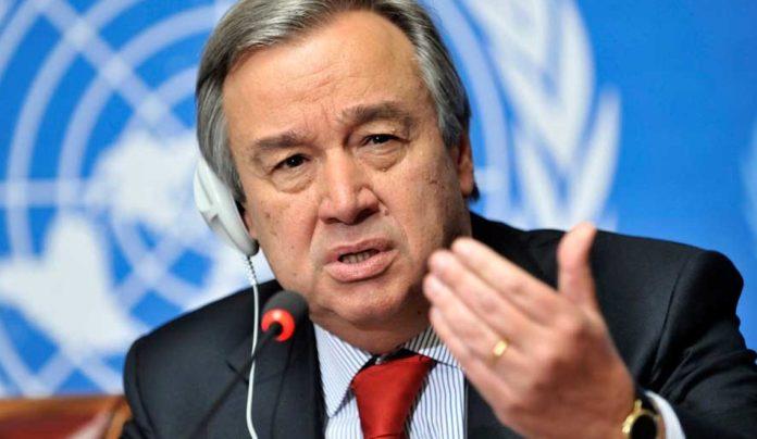 Renewables energies ‘only credible way’ to avoid climate catastrophe: UN chief 