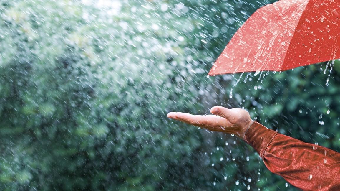 AI can predict if it will rain or not