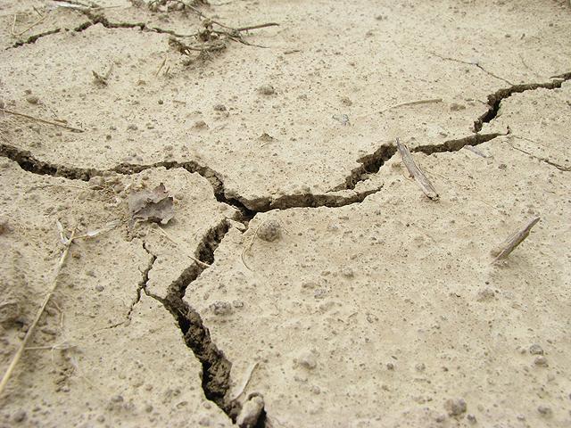 Earthquake jolts Peshawar, adjoining areas