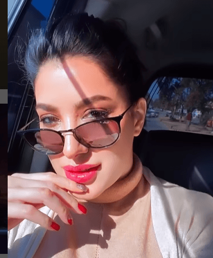 What Mehwish Hayat’s new guess is all about?