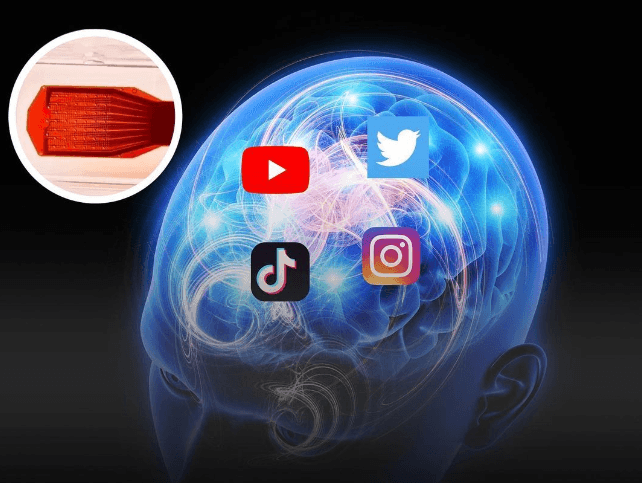 Brain implant, thinner than human hair, enables social media use with mind 