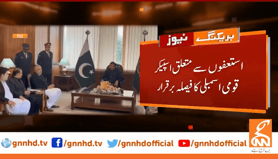 استعفوں کے متعلق اسپیکرقومی اسمبلی کا فیصلہ برقرار