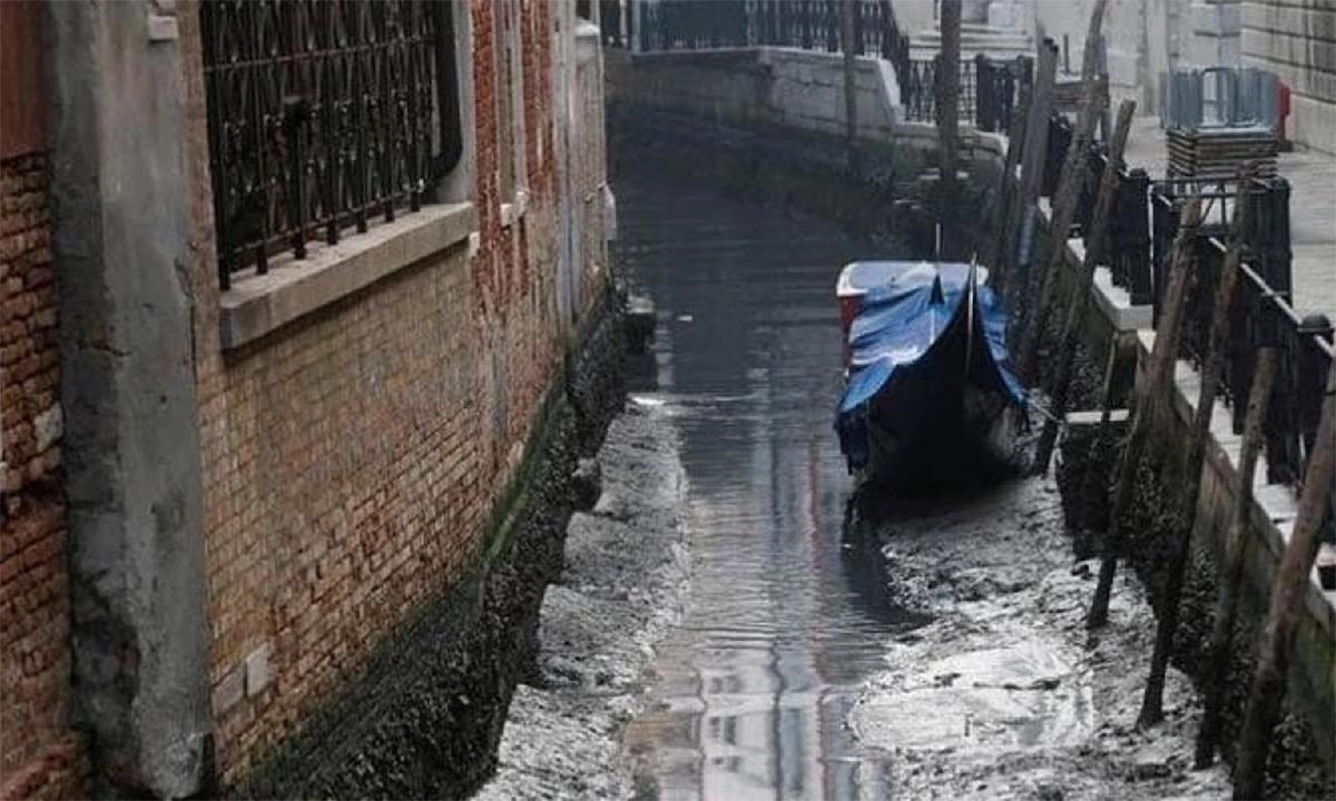 وینس خشک سالی کاشکار، قہط کا خدشہ بڑھ گیا