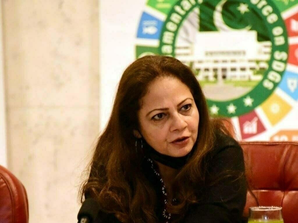 پاکستان کے پاس معاشی مسائل سے نکلنے کی حکمت عملی ہے،وزیر مملکت خزانہ