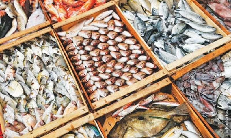 Pakistan’s seafood export to china increases by 42% in 2022