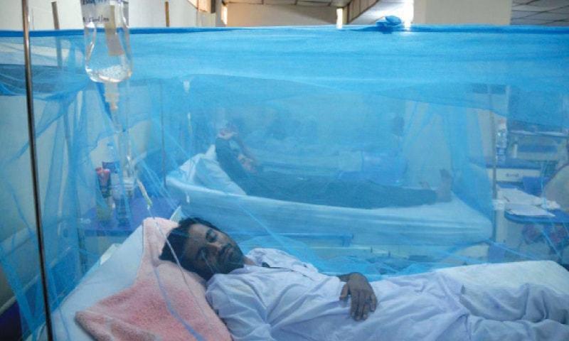 Punjab witnesses rise in Dengue cases