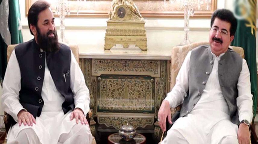 Chairman Senate, Punjab Governor discuss political situation in country