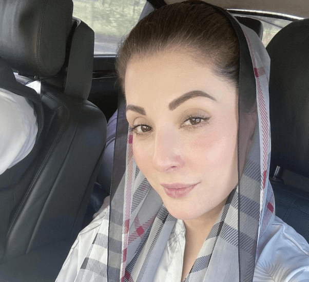 ‘Nobody bought Maryam Nawaz’s painting for last two years’