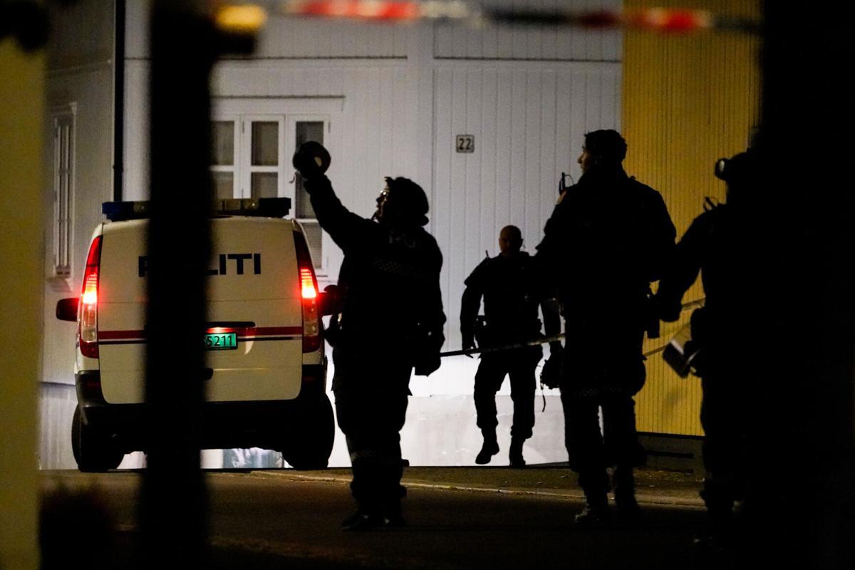 Five killed in Norway ‘bow and arrow attack’, Perpetrator arrested 