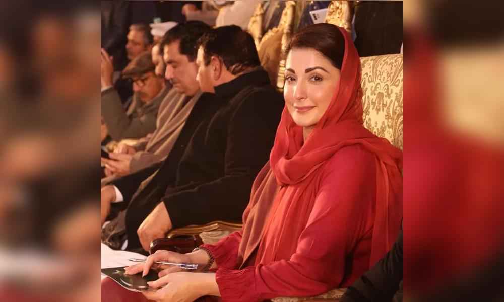 Maryam Nawaz owns assets worth over Rs842.5 Million