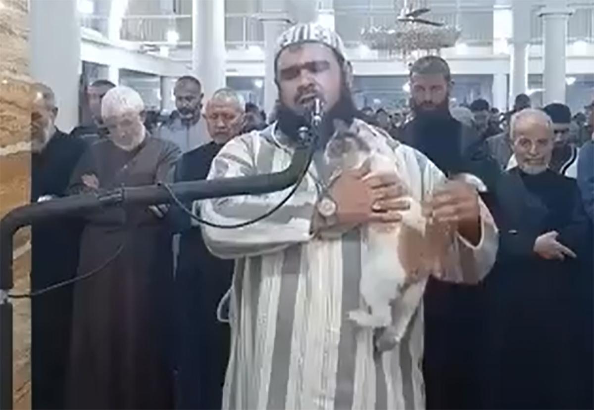امام تراویح اورلاڈلی بلی ، ویڈیو 
 سوشل میڈیا   پر  وائرل