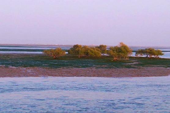 Pakistan’s Indus Delta emerges on UN radar