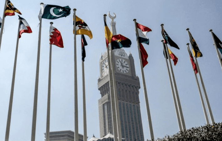 او آئی سی کی بھارت میں مسلمانوں کیخلاف پُرتشدد کارروائیوں کی مذمت