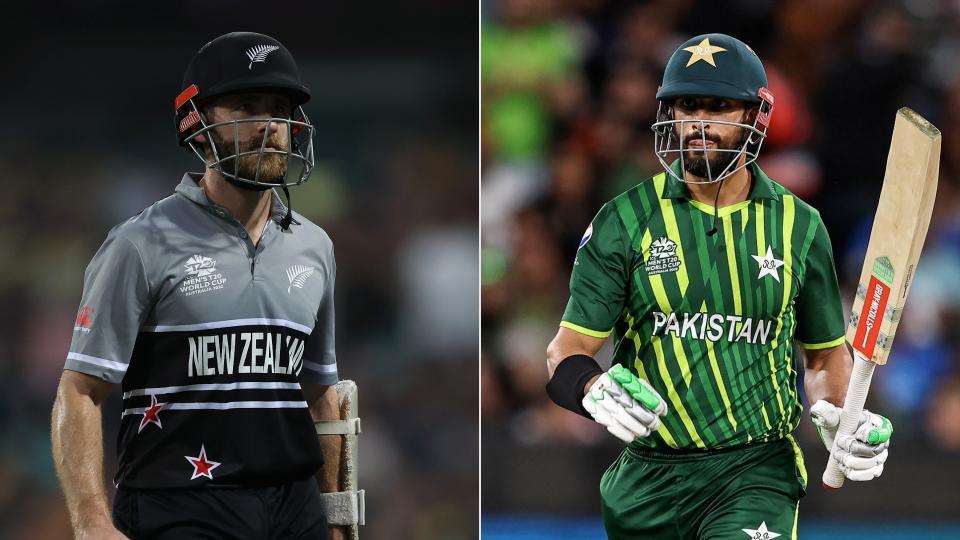 Pak Vs NZ: Ali Naqvi, Chris Broad to lead playing control teams