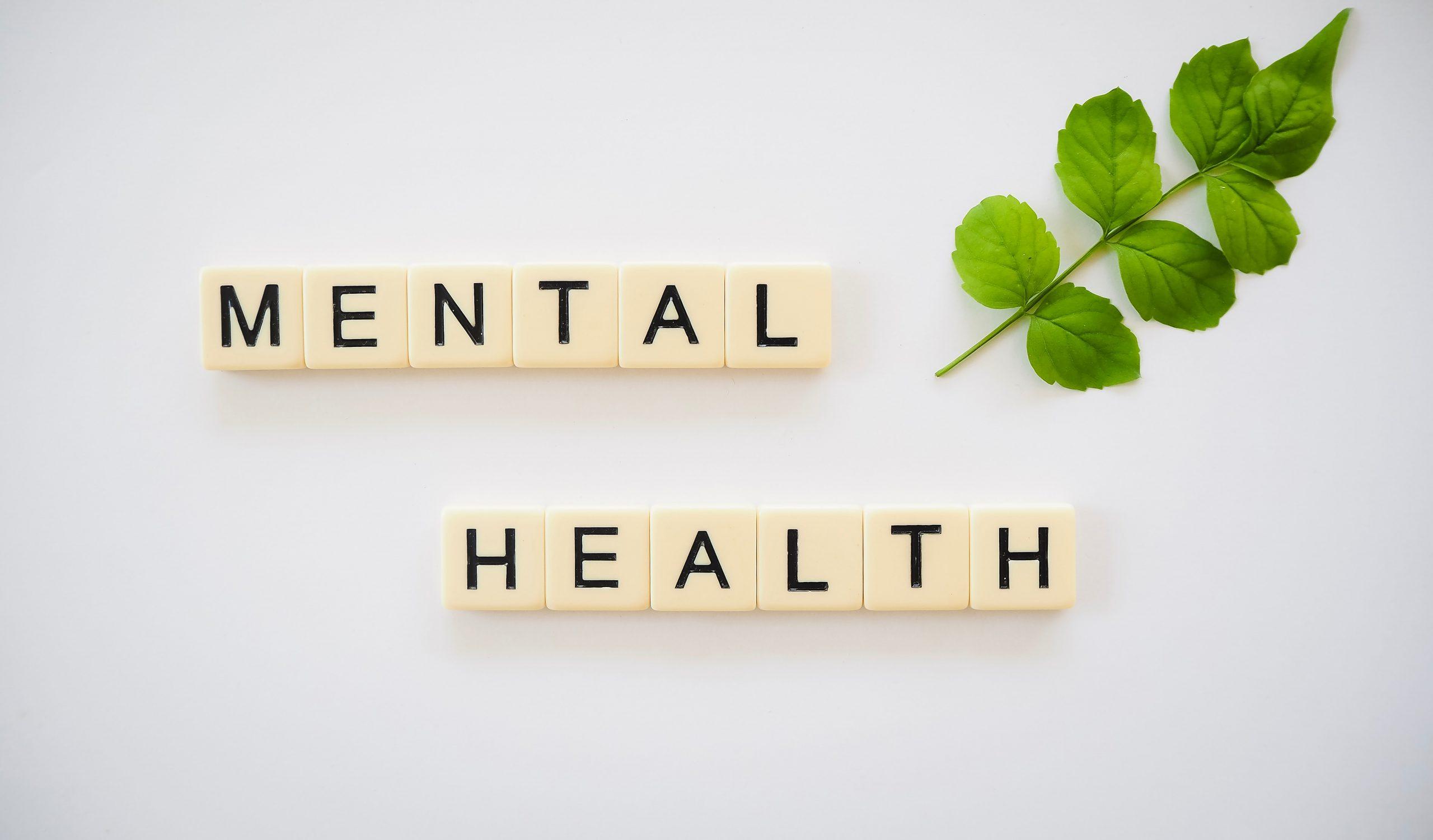 Govt taking steps to address 'mental health' issues