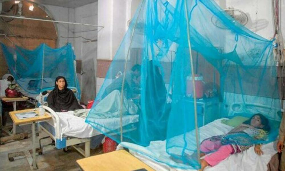 Extreme climate leads to malaria cases in Pakistan