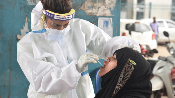 Pakistan logs over 600 new COVID infections, 20 deaths 