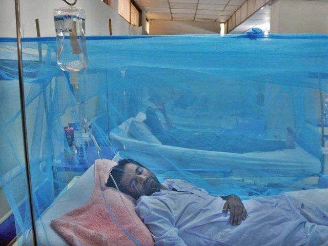 ملک کے مختلف شہروں میں ڈینگی کے وار جاری