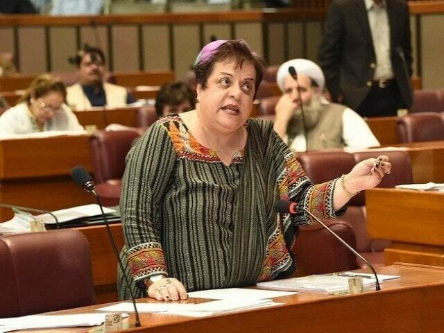 Islamabad session court discharges Shireen Mazari from "Attempted Murder" case