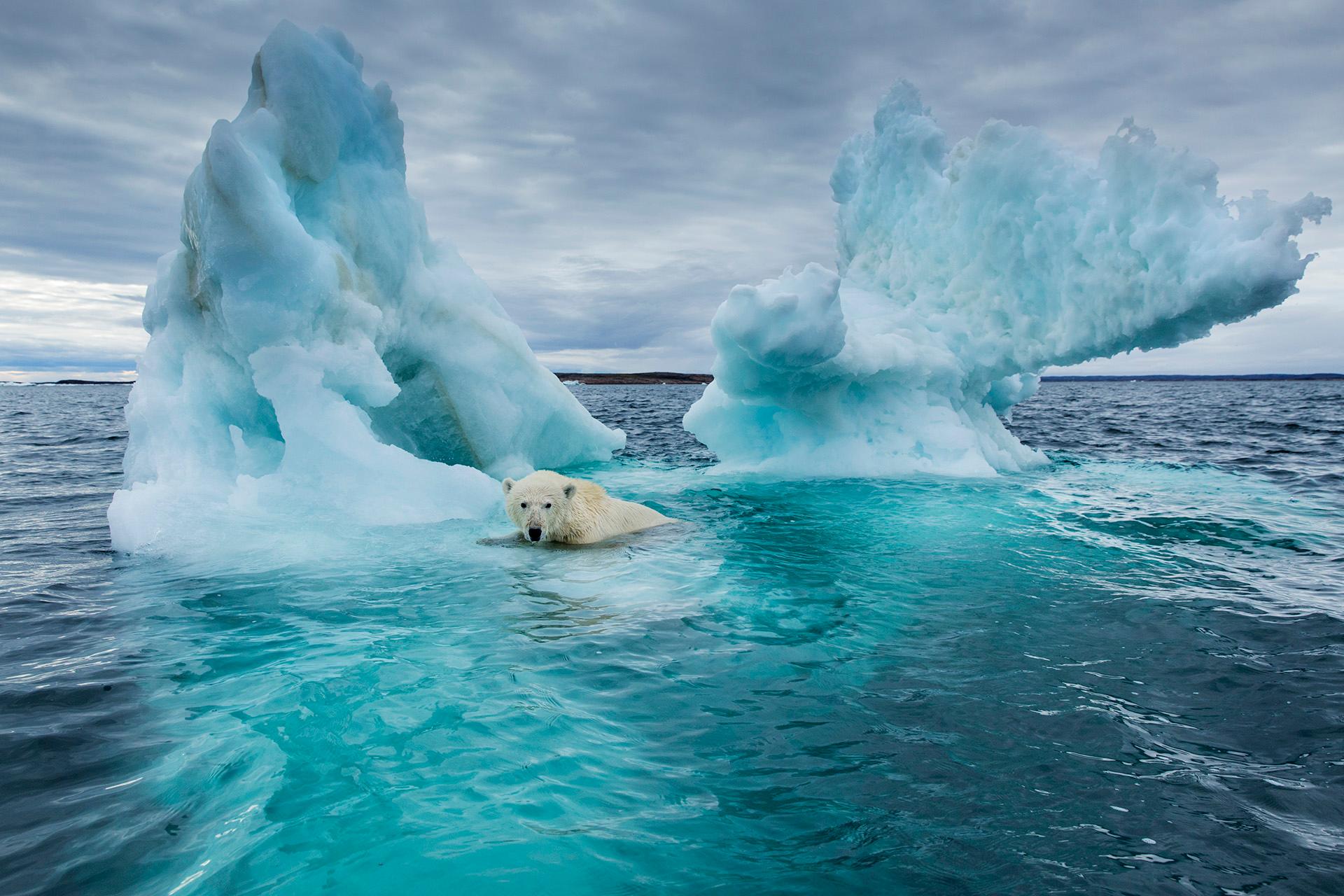 World on edge to exceed 1.5°C global warming, warns WMO