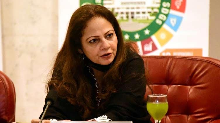 IMF mission chief's statement is interference in internal affairs: Aisha Ghaus