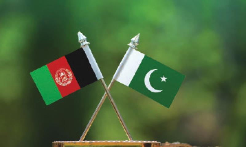 Journalists desiring to leave Afghanistan can apply for Pakistani visa: interior minister