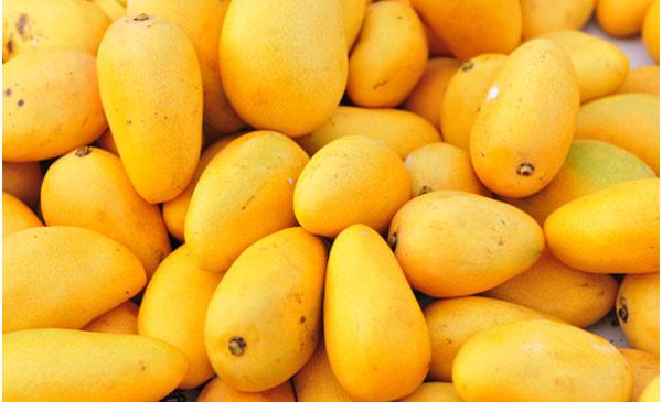 Pakistan exports mangoes to China via newly opened cargo route