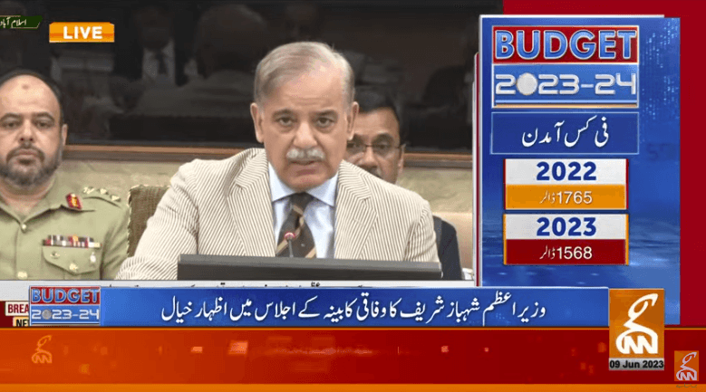 Political stability inevitable for economic growth, says PM Shehbaz