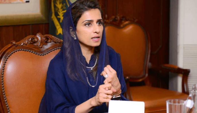 پاکستان کو امریکا یا چین میں سے کسی ایک کو چُننے کا نہ کہا جائے: حنا ربانی