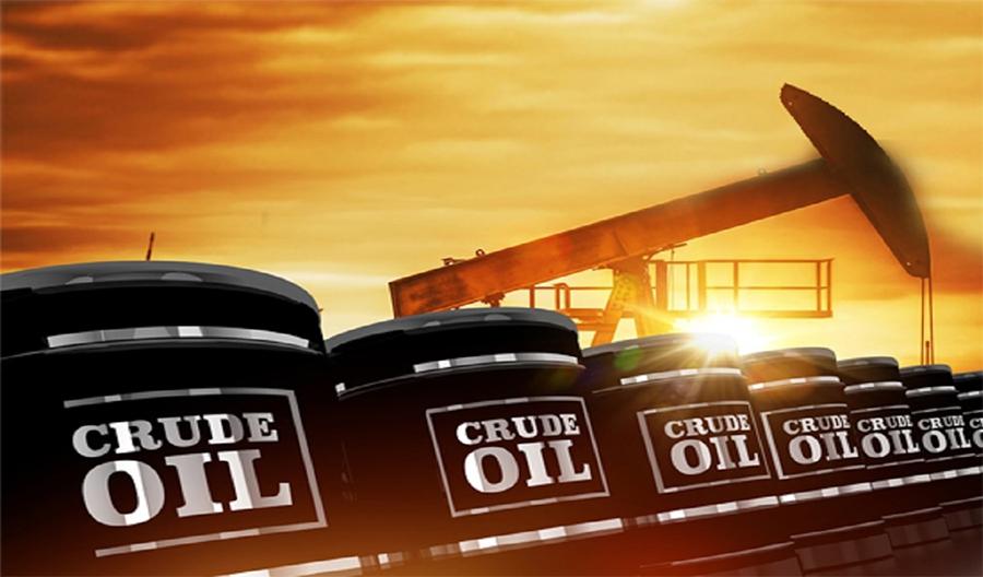 اقتصادی رابطہ کمیٹی نے پٹرولیم مصنوعات کے لئے’’بانڈڈ بلک سٹوریج پالیسی 2023‘‘  کی منظوری دیدی ہے،وزیر خزانہ اسحاق ڈار