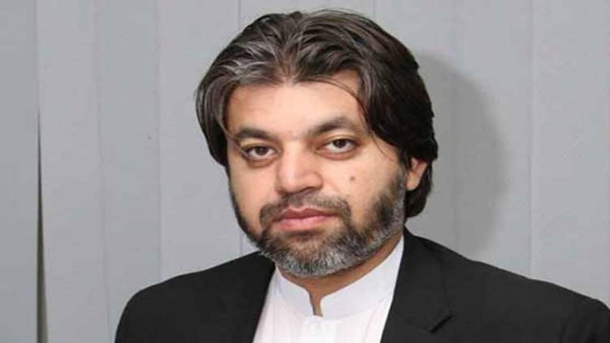 PTI leader Ali Muhammad Khan sent to jail on judicial remand