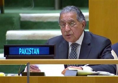 پاکستان کی اقوام متحدہ پر تنقید