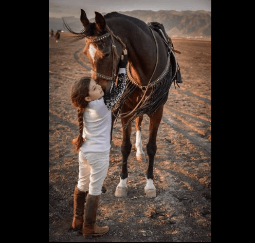 Dubai ruler gifts herd of horses to Iraqi girl after her horse death