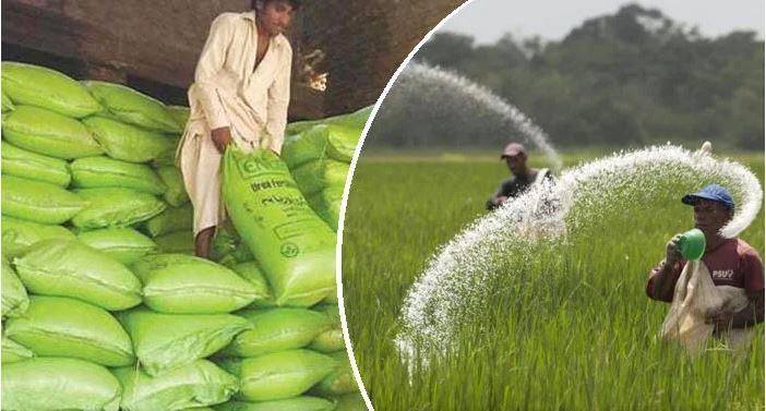 ملک میں یوریا اور ڈی اے پی کی کھپت میں  سالانہ بنیادوں پر نمایاں اضافہ